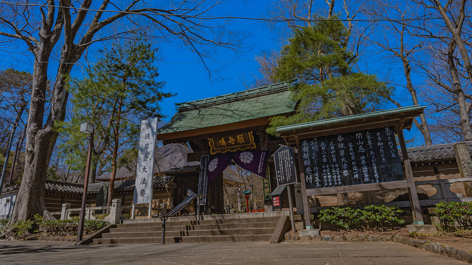 春の浄真寺3