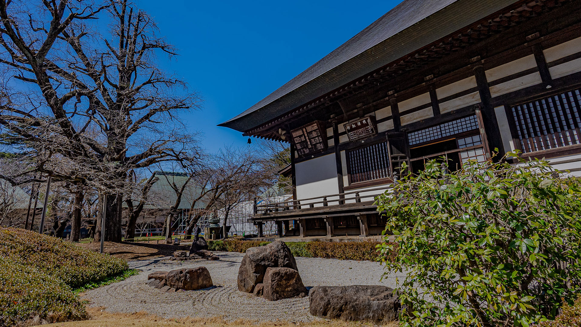 春の浄真寺4
