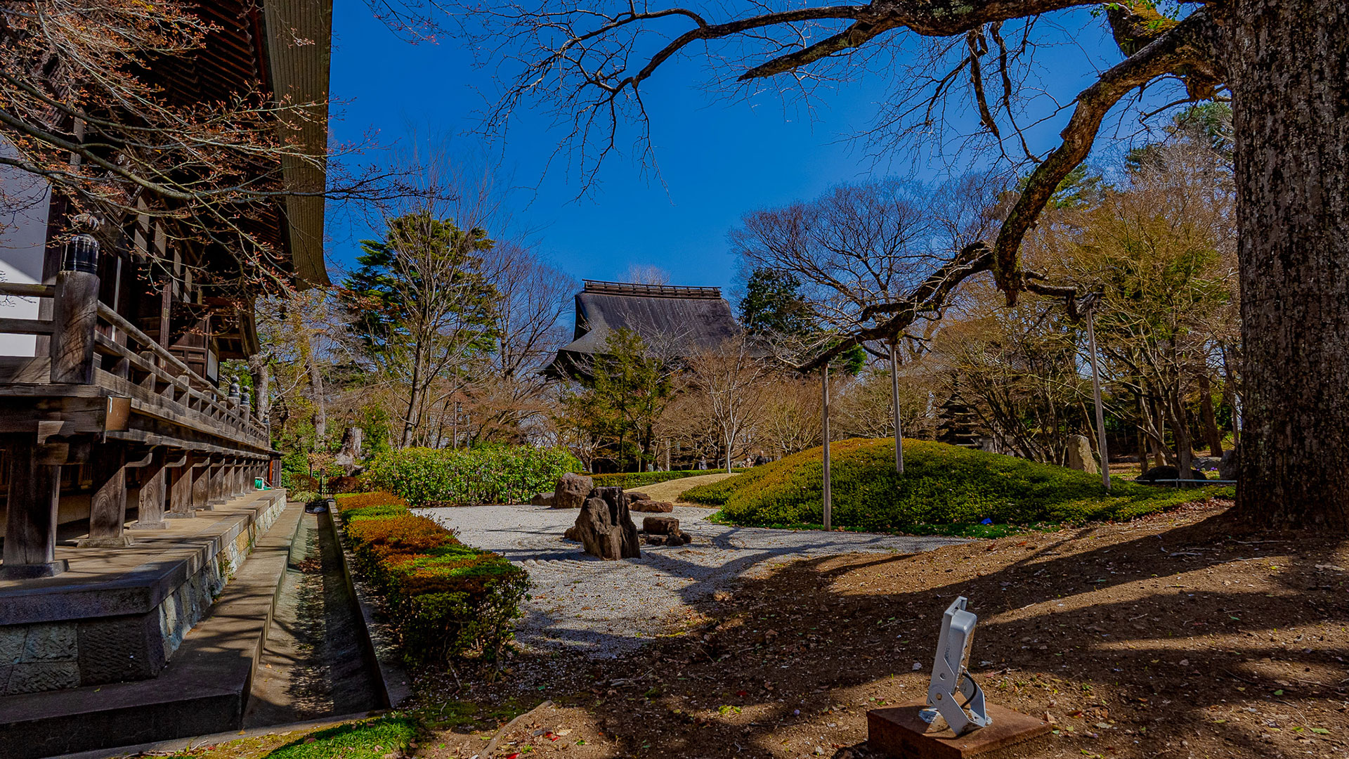 春の浄真寺5
