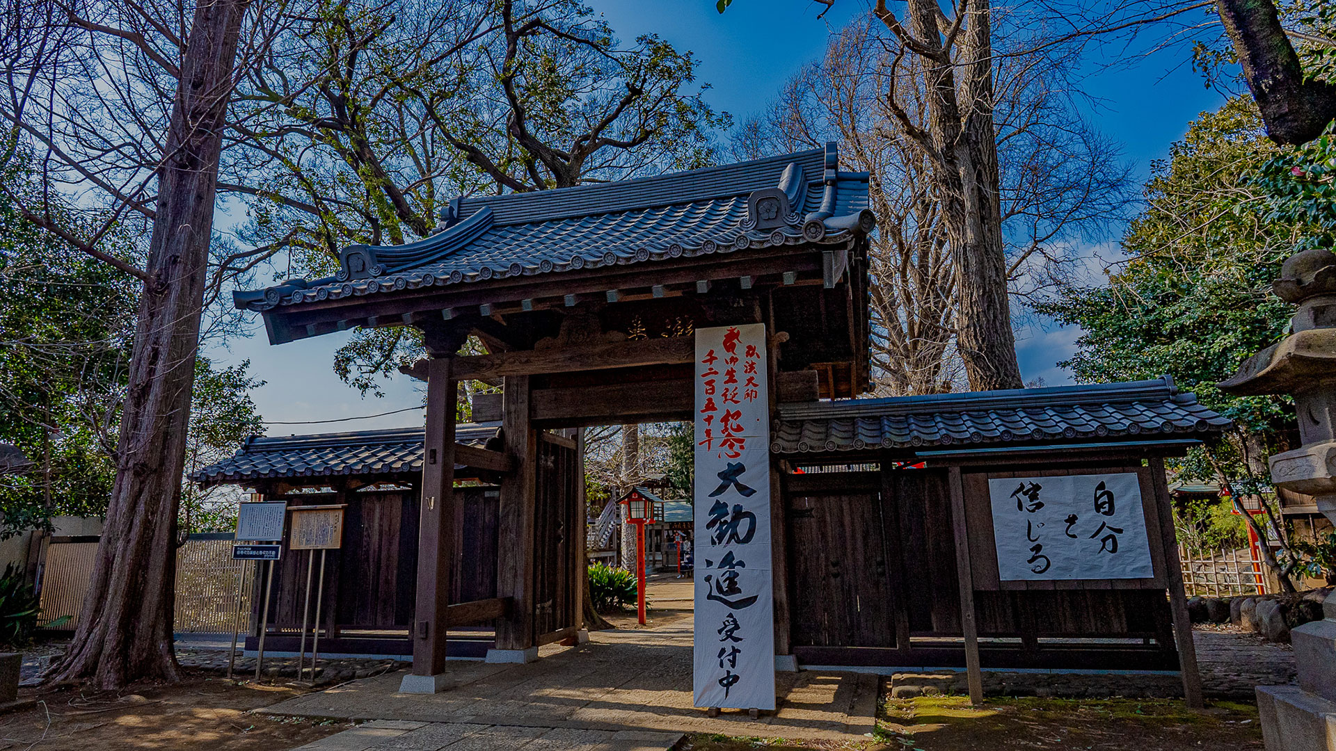 春の等々力不動尊2