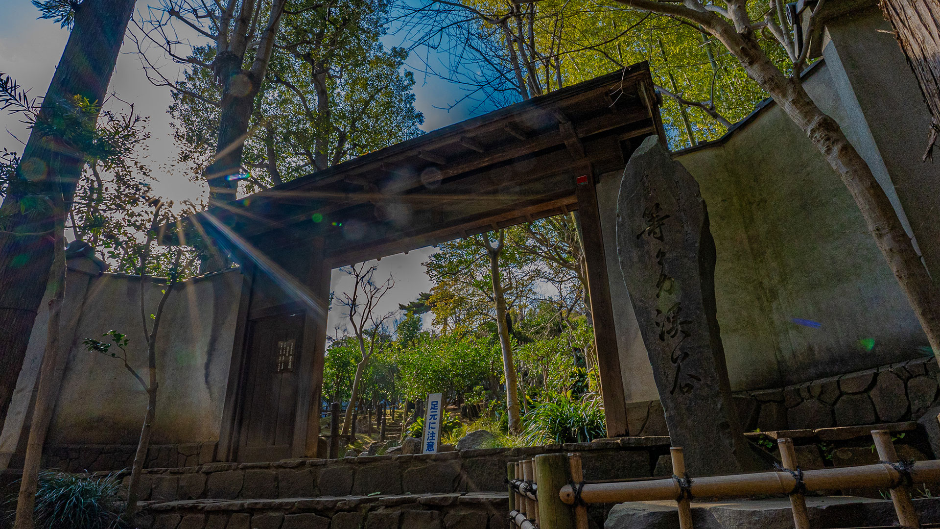 春の等々力不動尊3