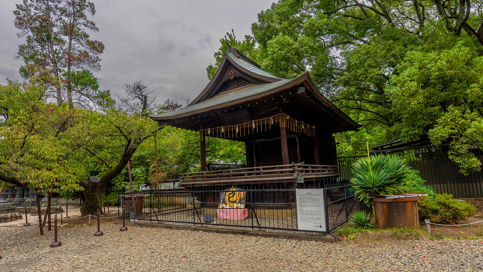 秋の上野東照宮9