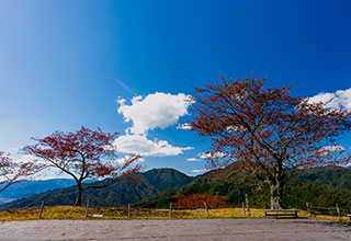 竹田城の見どころ9