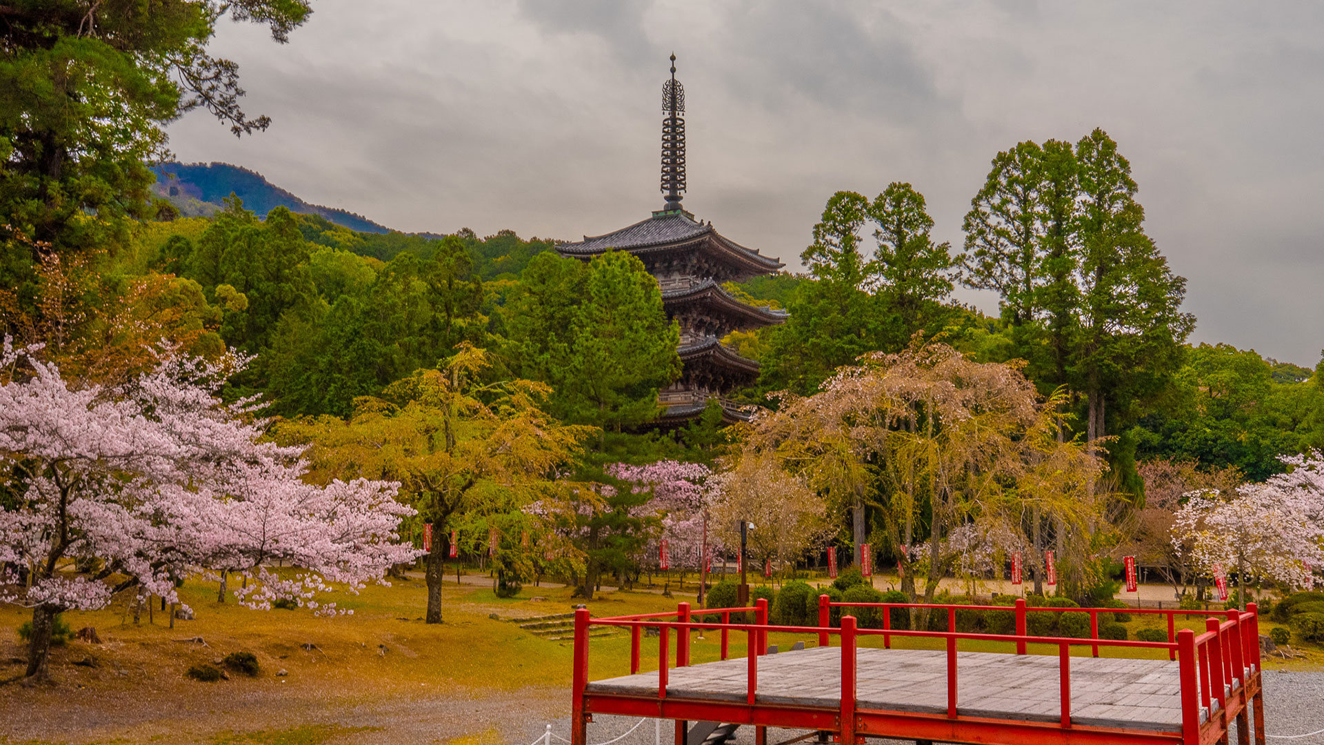 醍醐寺
