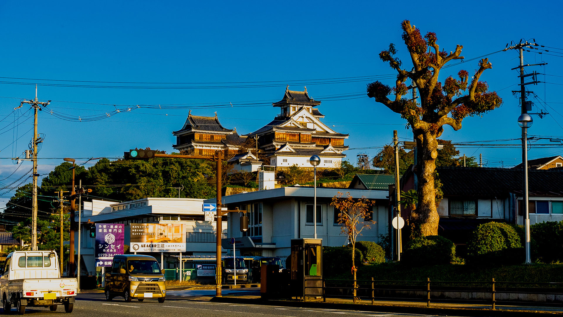 秋の福知山城10
