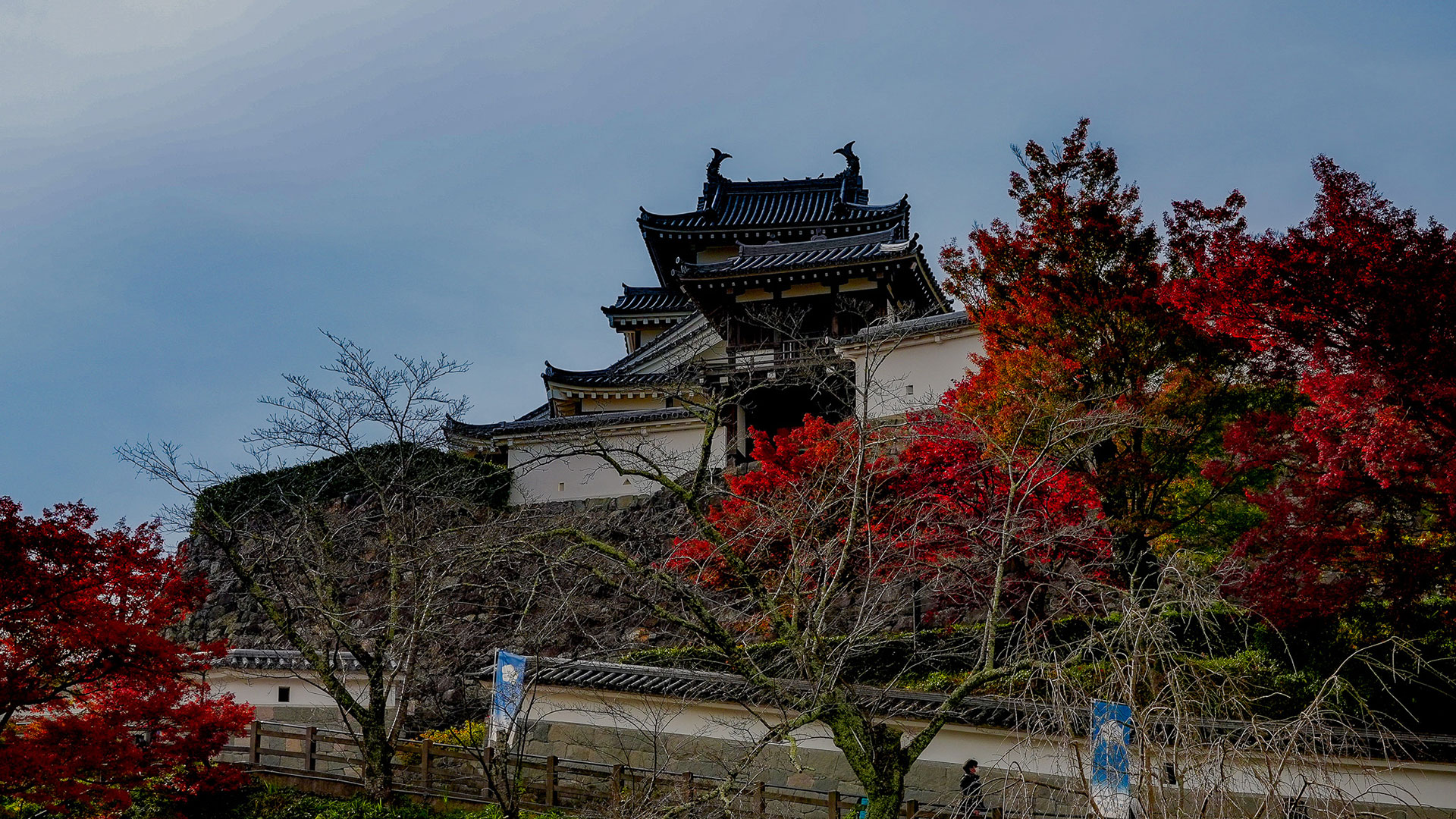 秋の福知山城13