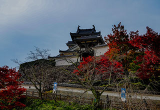 福知山城の見どころ10