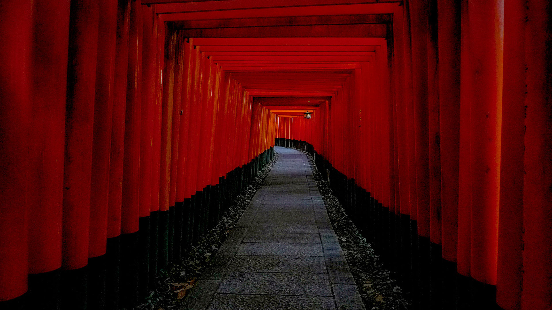 秋の伏見稲荷大社4