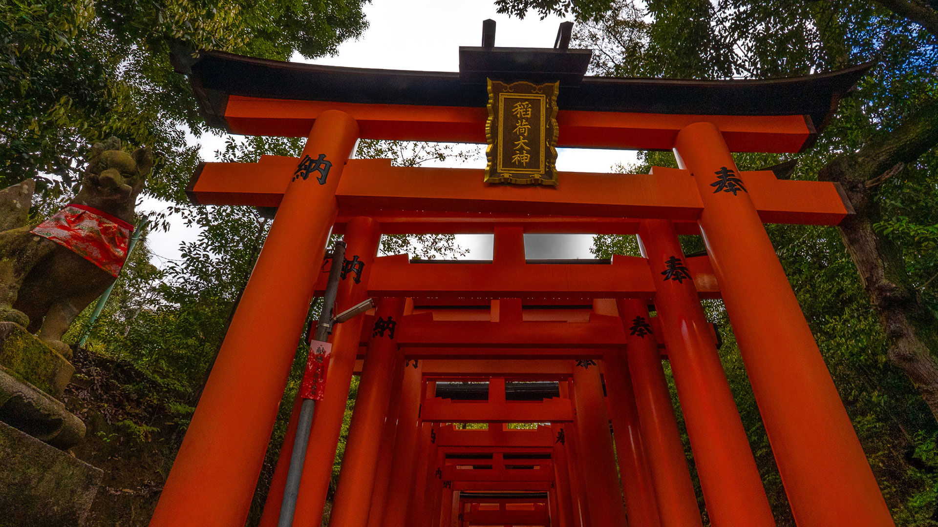 春の伏見稲荷大社1