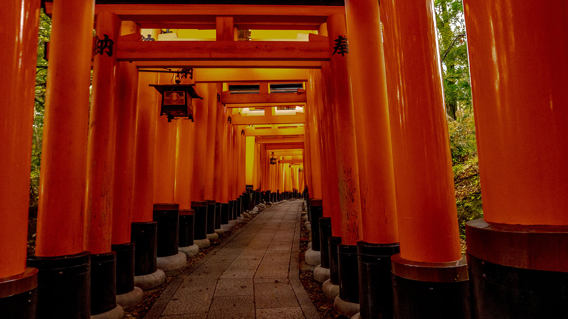 春の伏見稲荷大社2