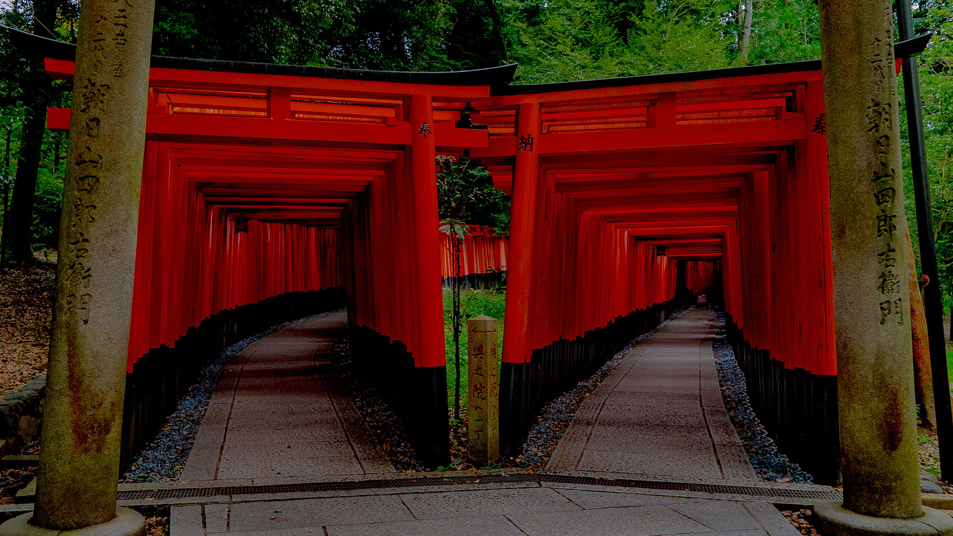 夏の伏見稲荷大社3