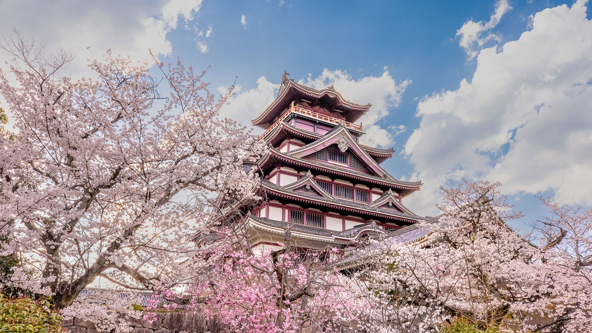 春の伏見桃山城3