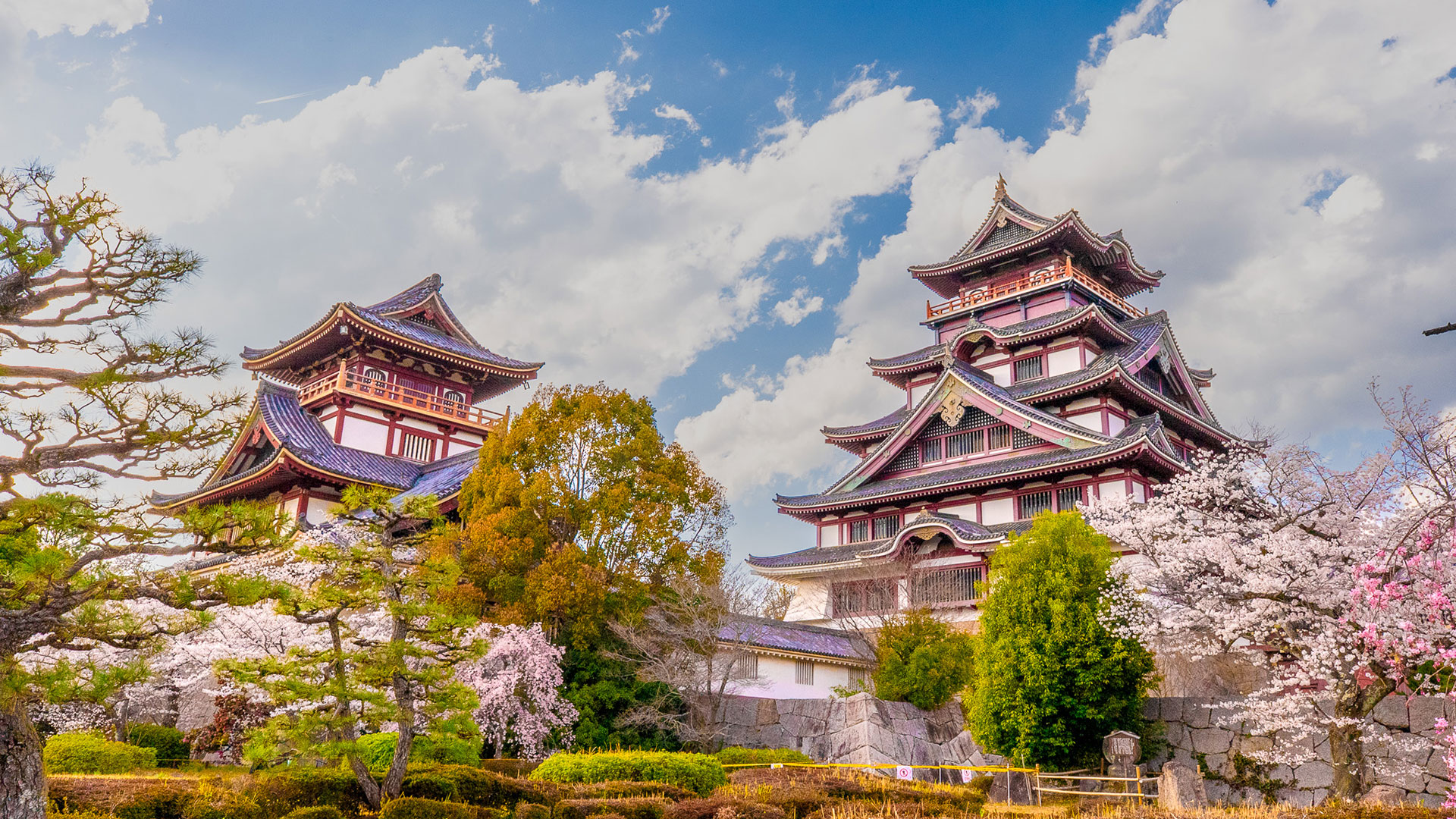 春の伏見桃山城4