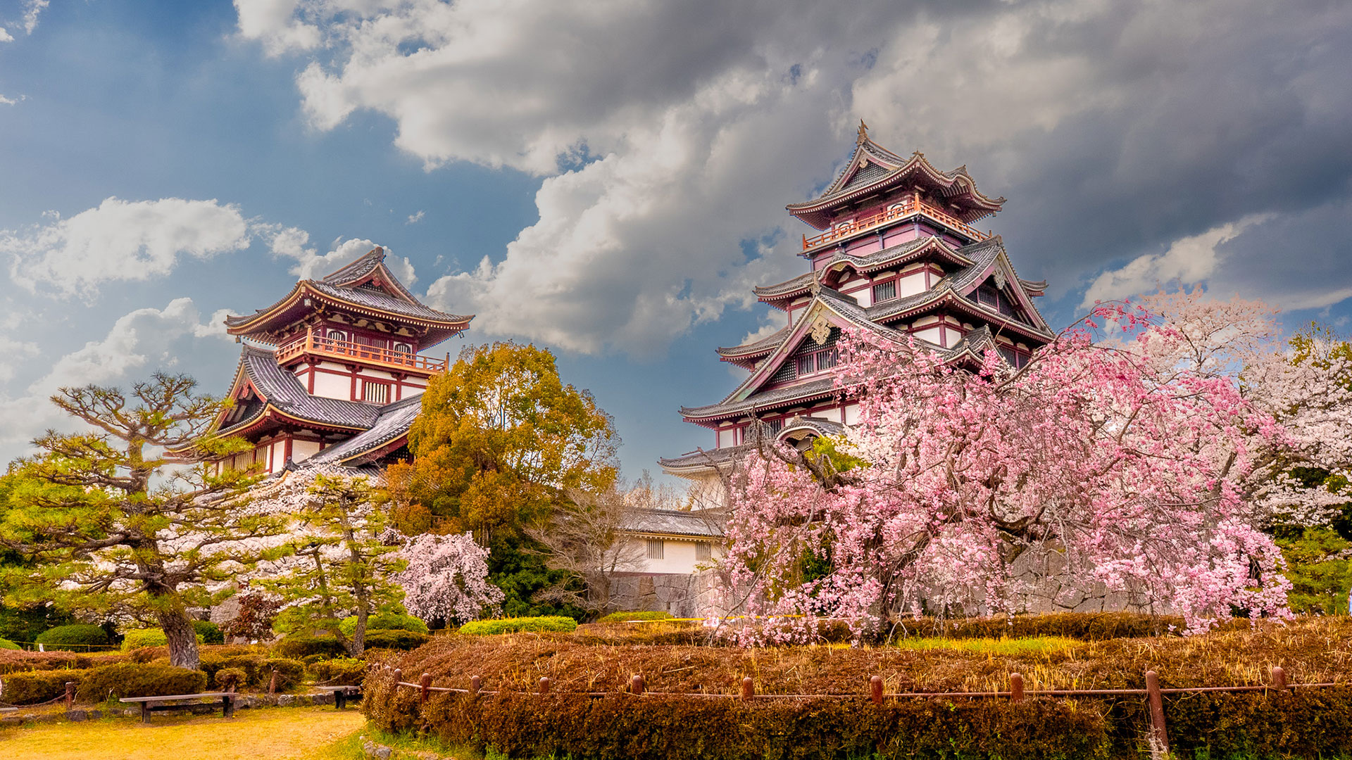 春の伏見桃山城5