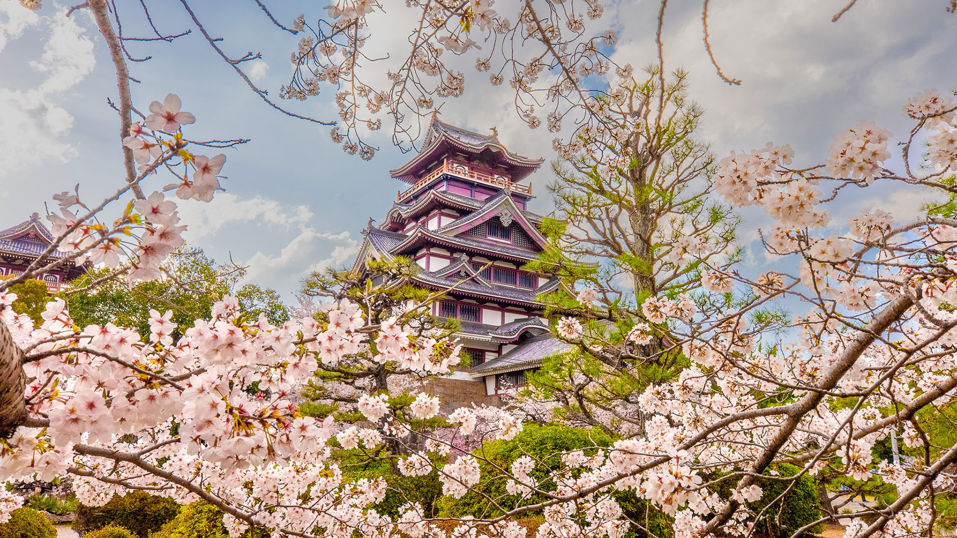 春の伏見桃山城6