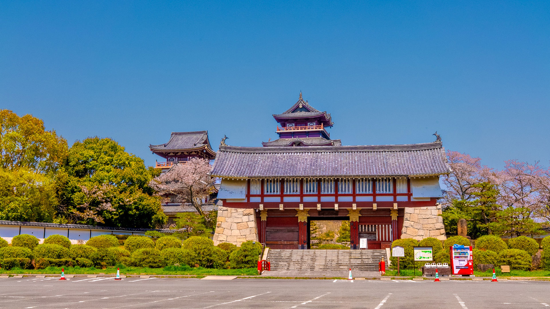 春の伏見桃山城9