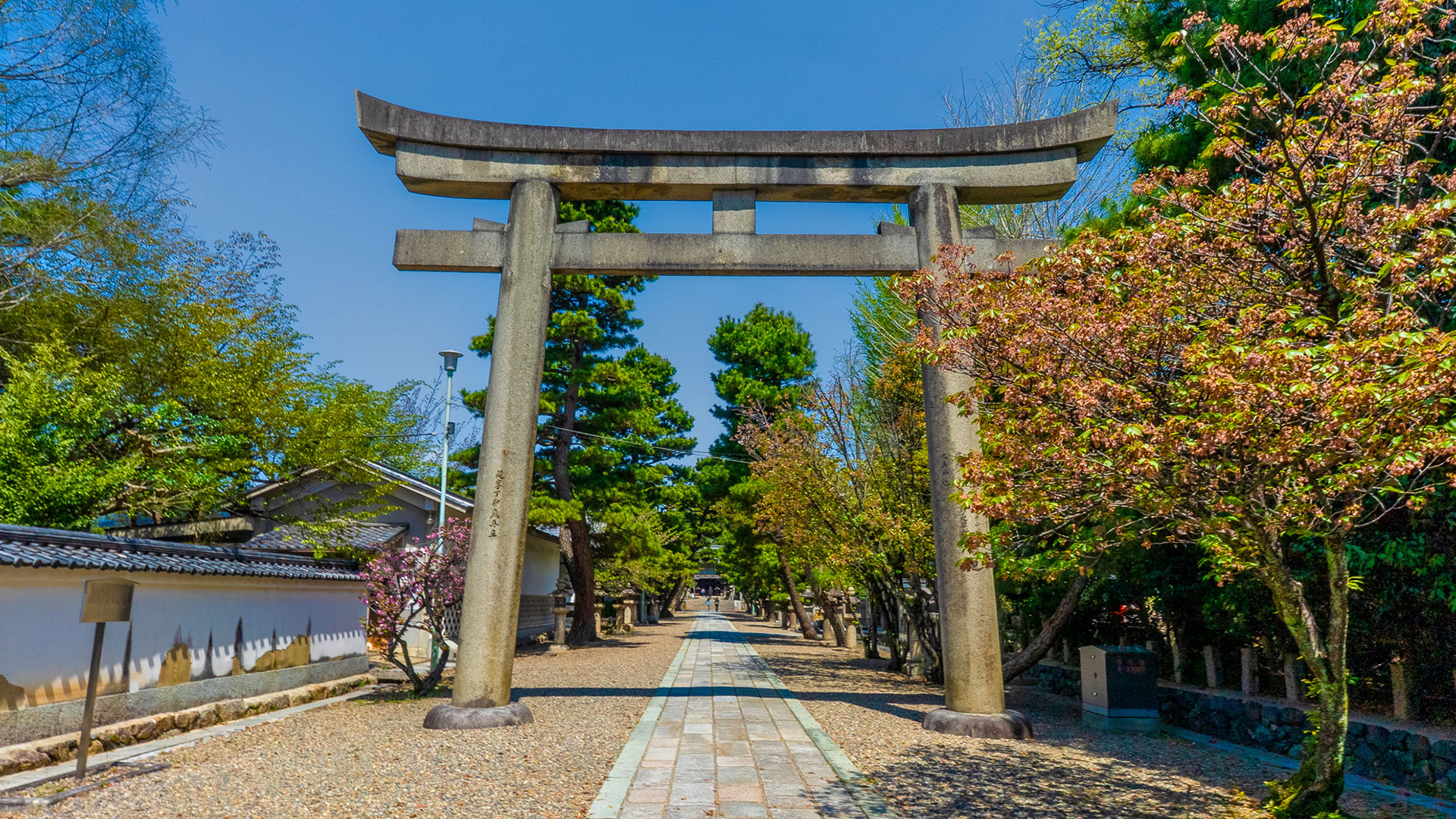 春の御香宮神社4