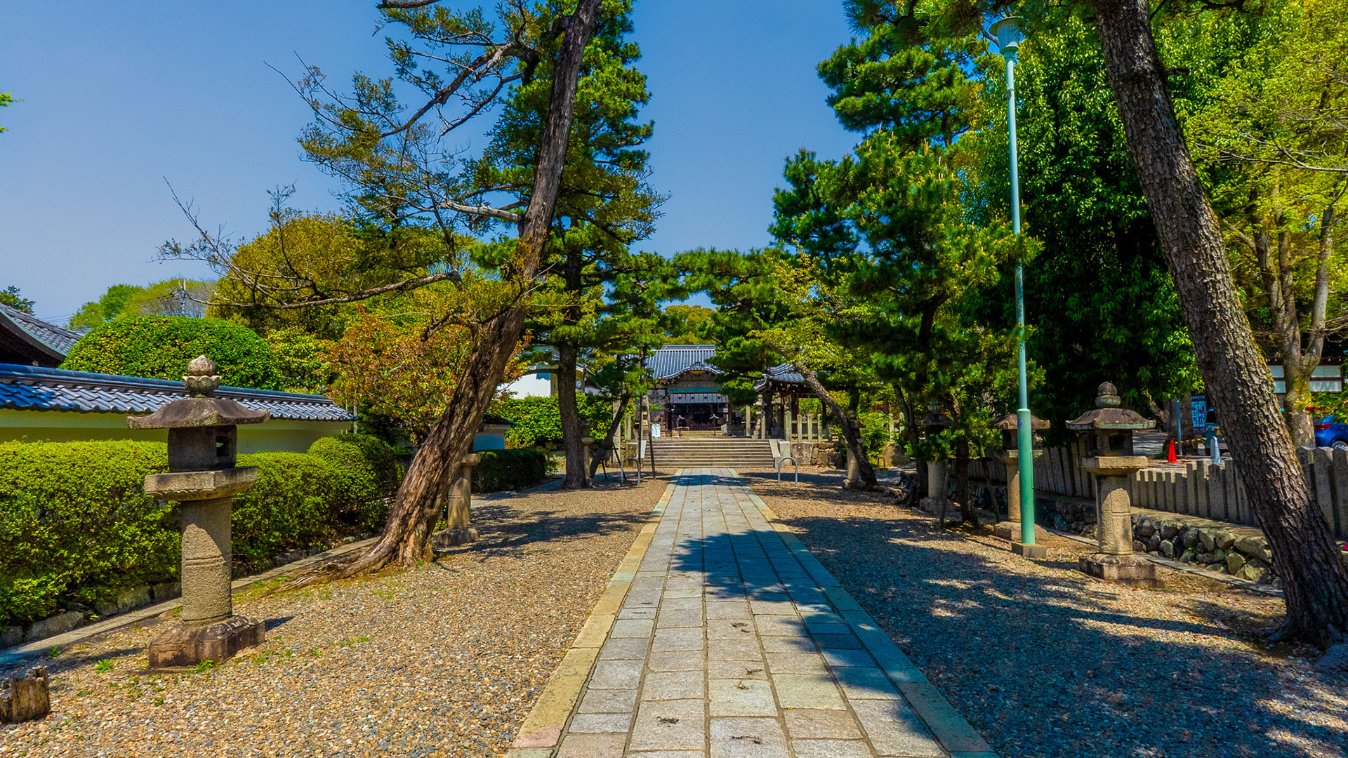 春の御香宮神社6