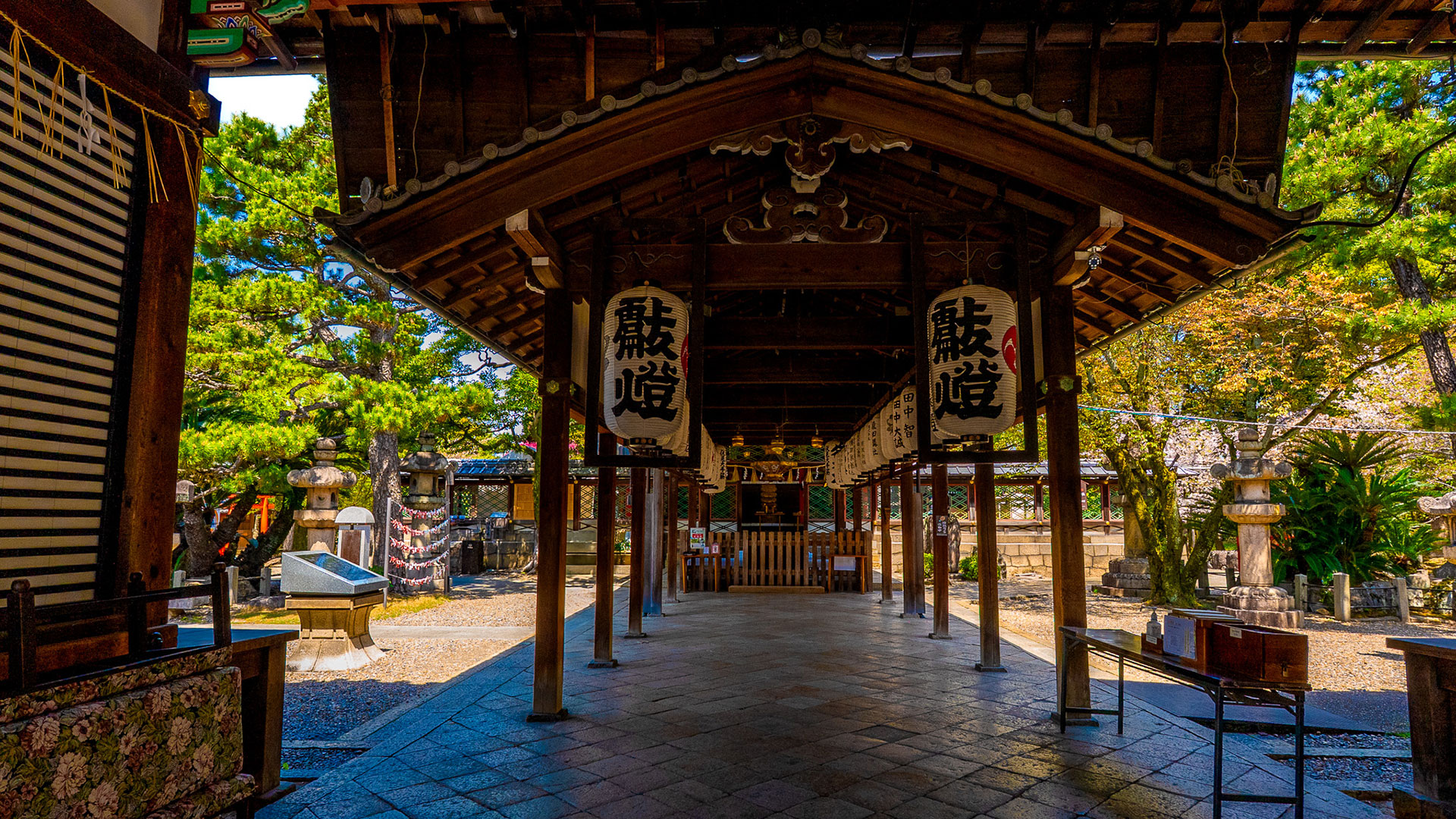 春の御香宮神社9