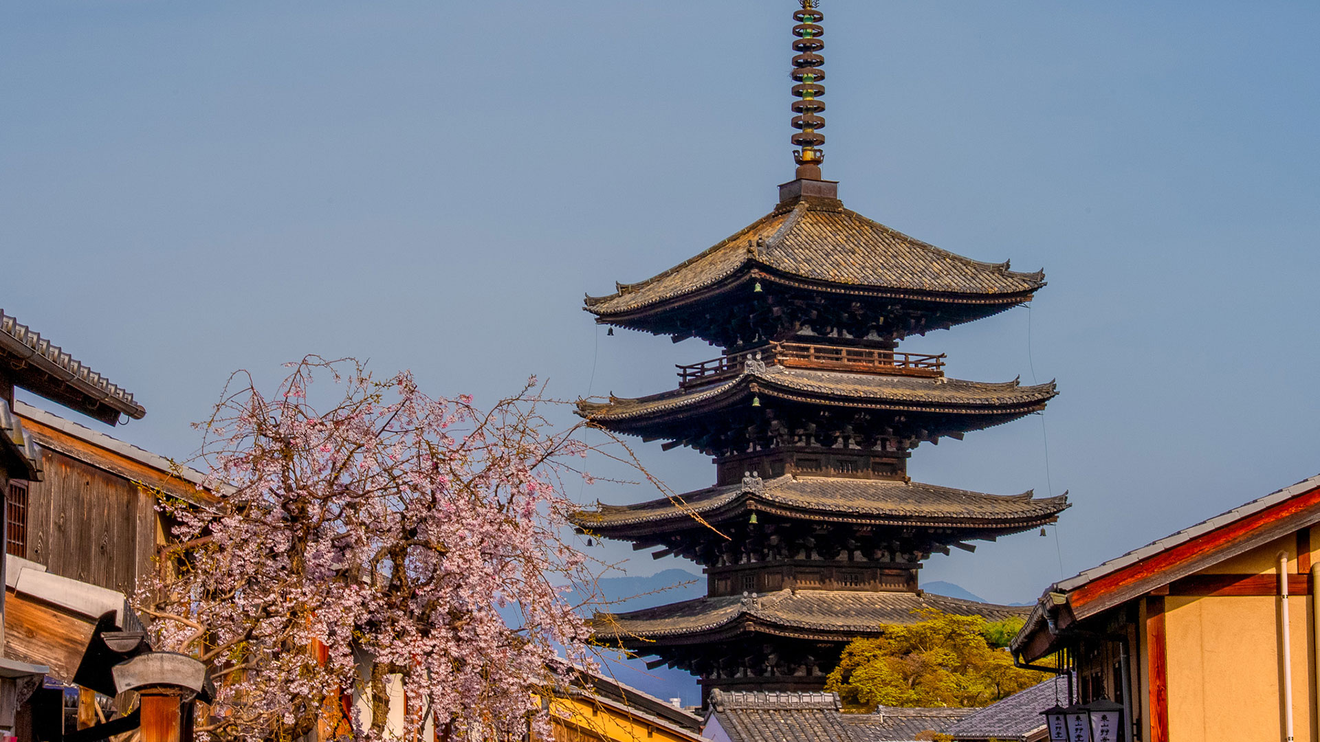 春の法観寺（八坂の塔）1