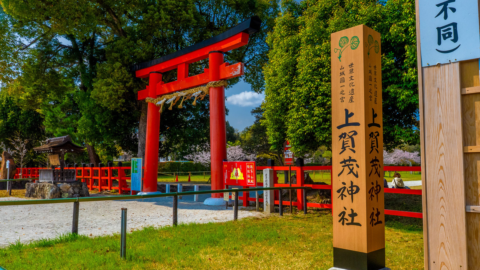 春の上賀茂神社3