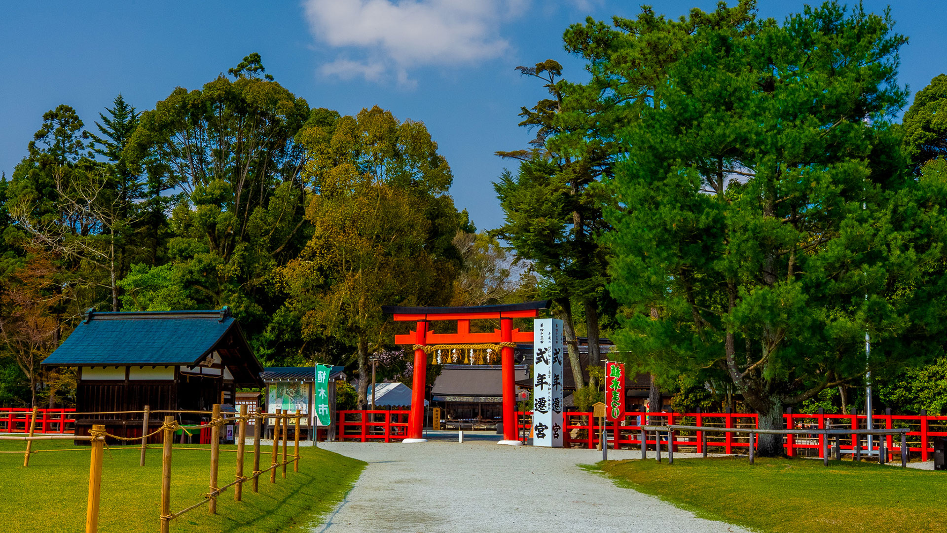 春の上賀茂神社4