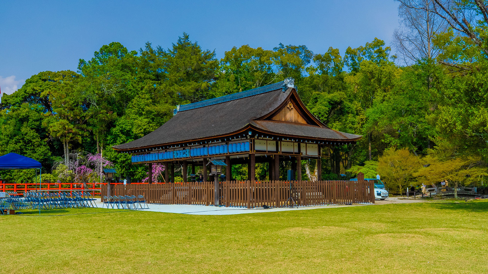 春の上賀茂神社5