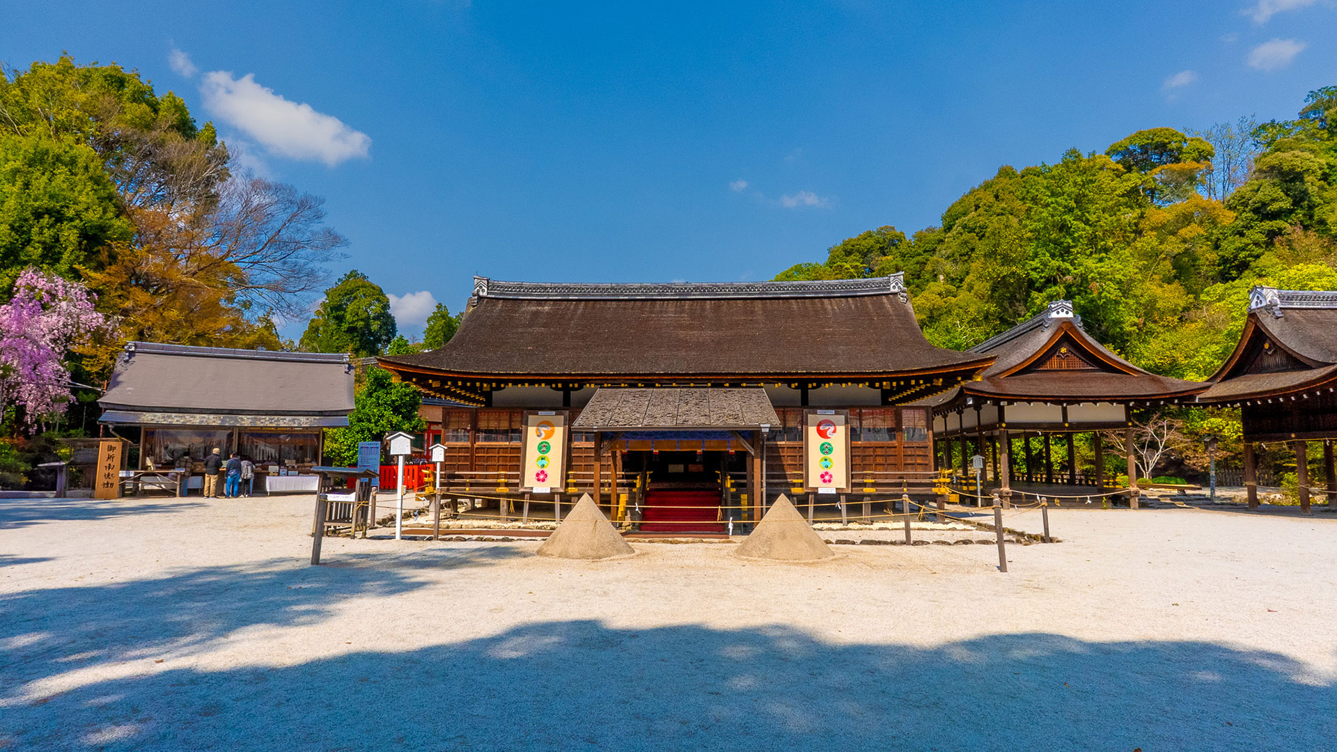 春の上賀茂神社6