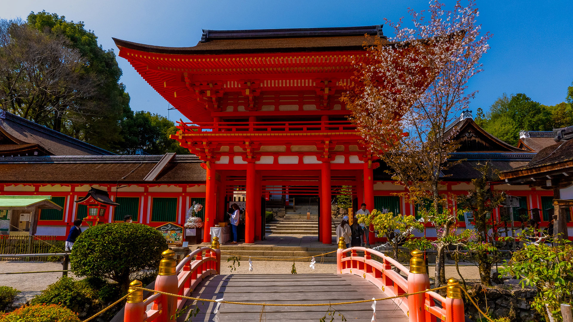春の上賀茂神社8