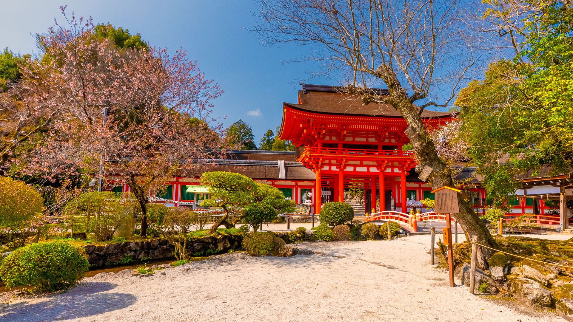 春の上賀茂神社9