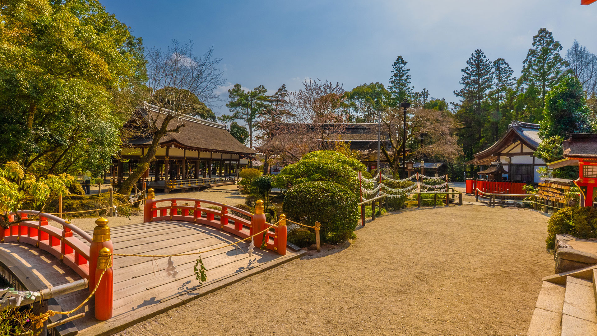春の上賀茂神社10