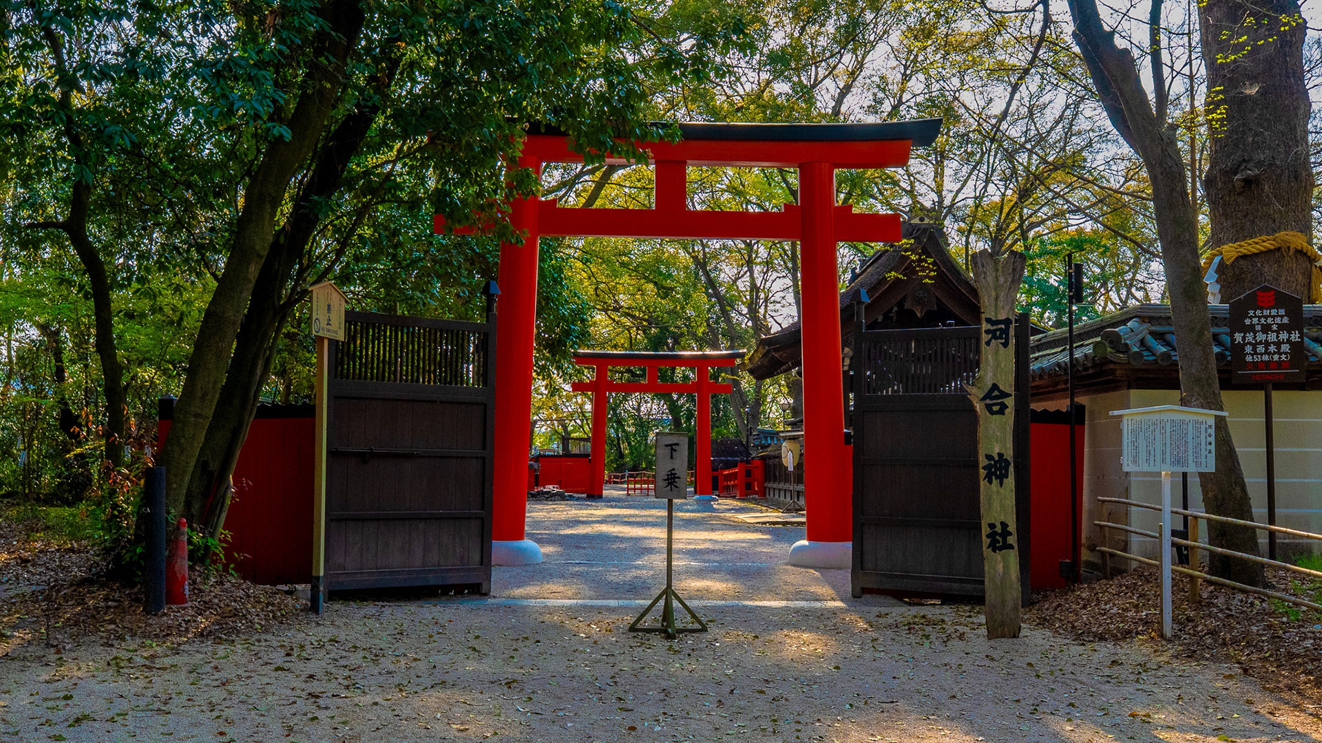 春の河合神社3