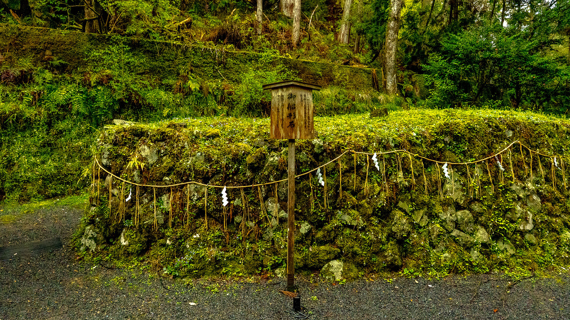春の貴船神社10