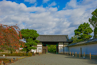 二条城の見どころ6