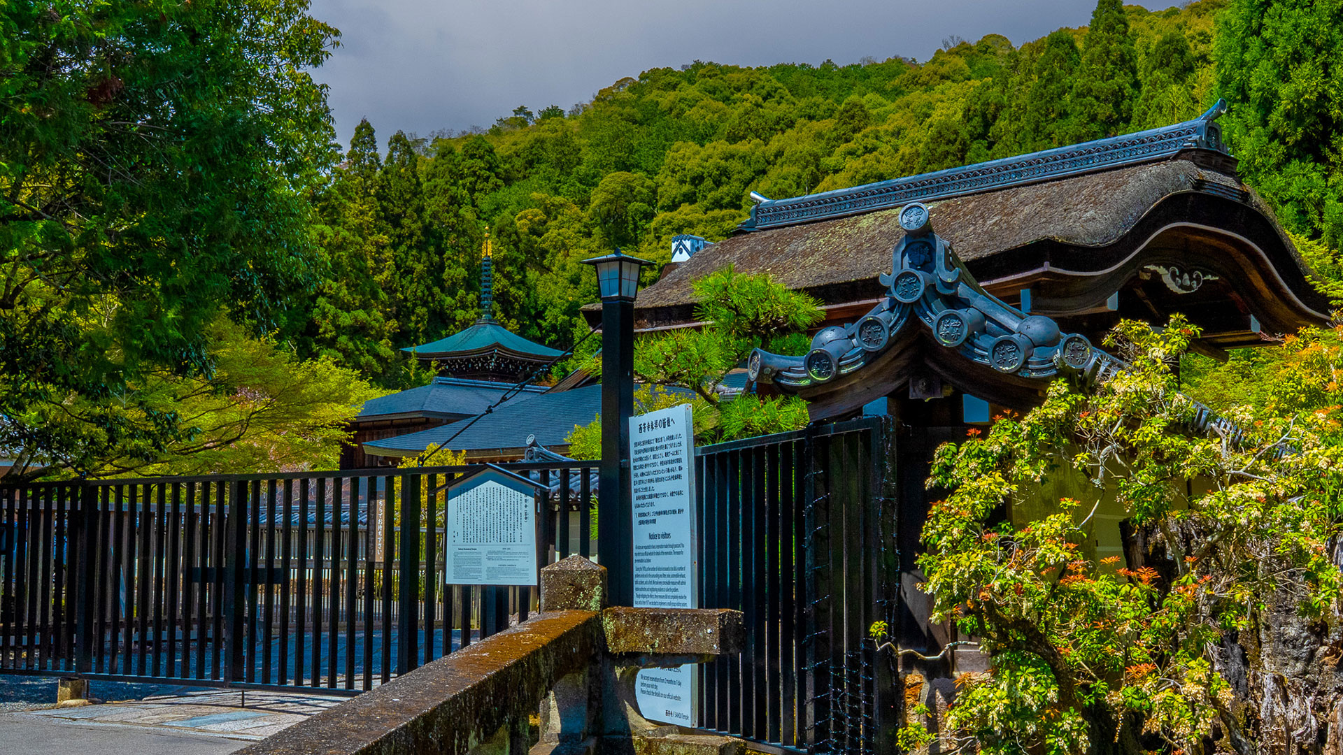 西芳寺