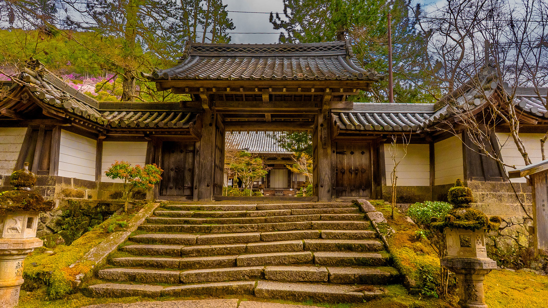 西明寺