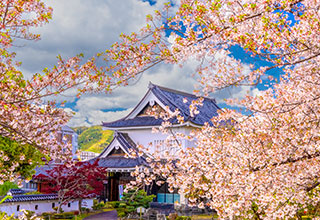 勝龍寺城の見どころ2