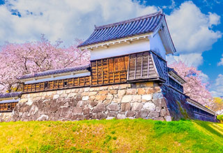 勝龍寺城の見どころ5