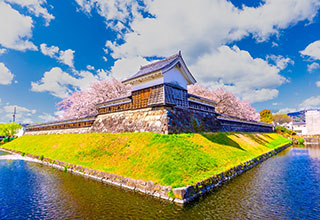 勝龍寺城の見どころ10