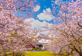勝龍寺城の見どころ13
