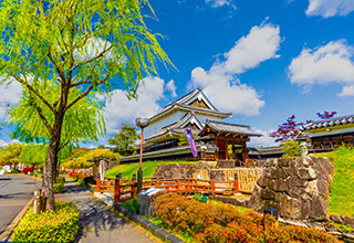 勝龍寺城の見どころ15