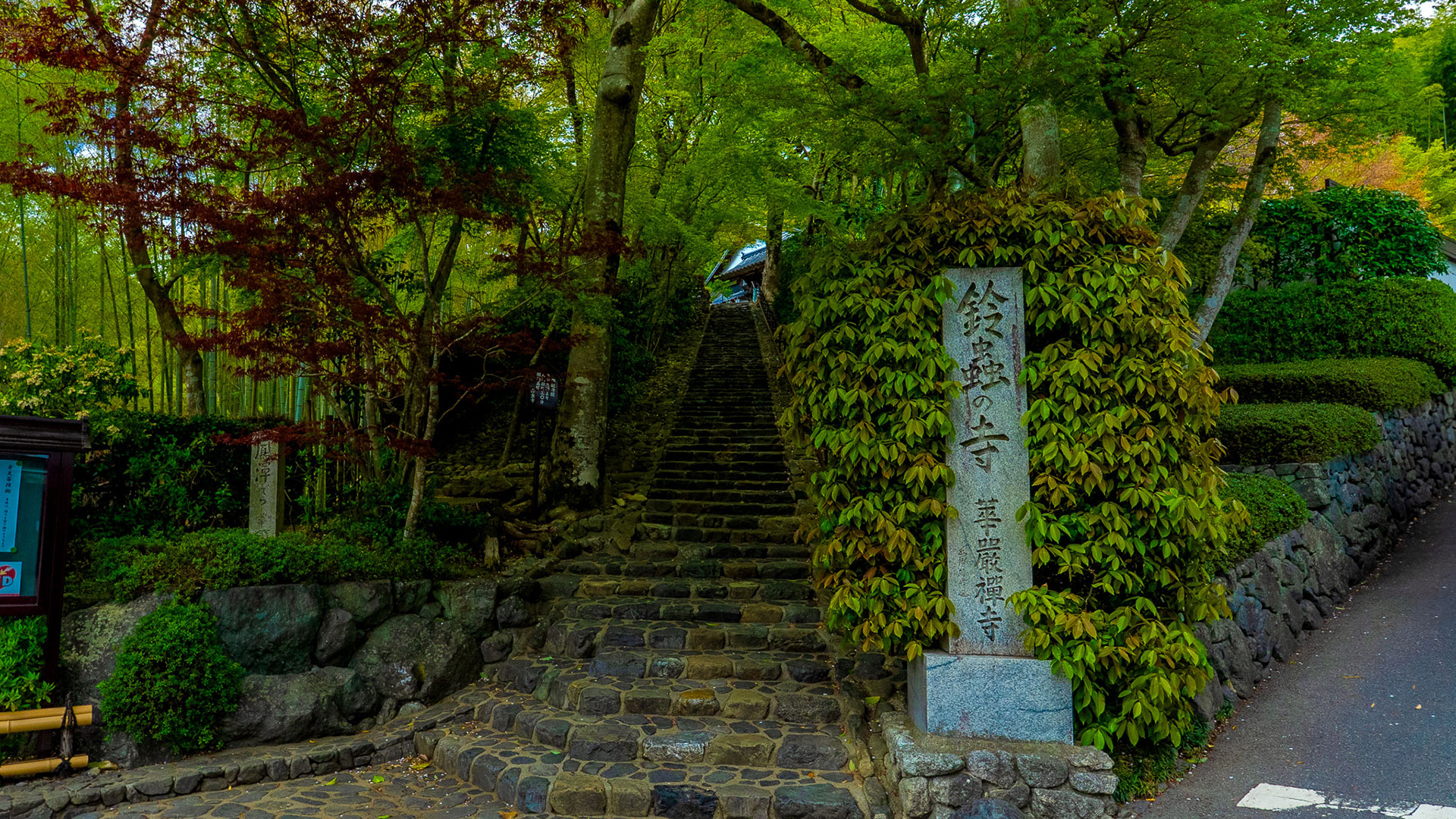 鈴虫寺