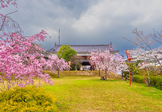 田辺城の見どころ1