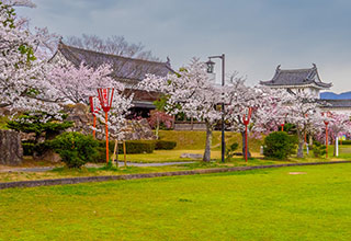 田辺城の見どころ2