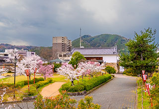 田辺城の見どころ3
