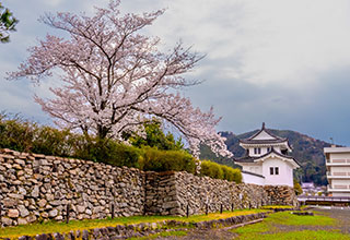 田辺城の見どころ8