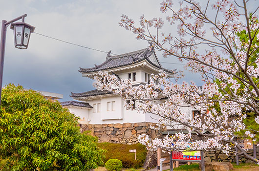 田辺城