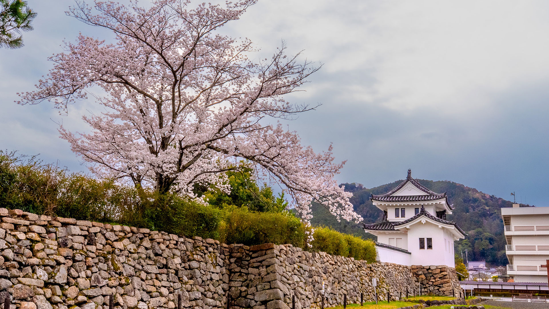 春の田辺城4