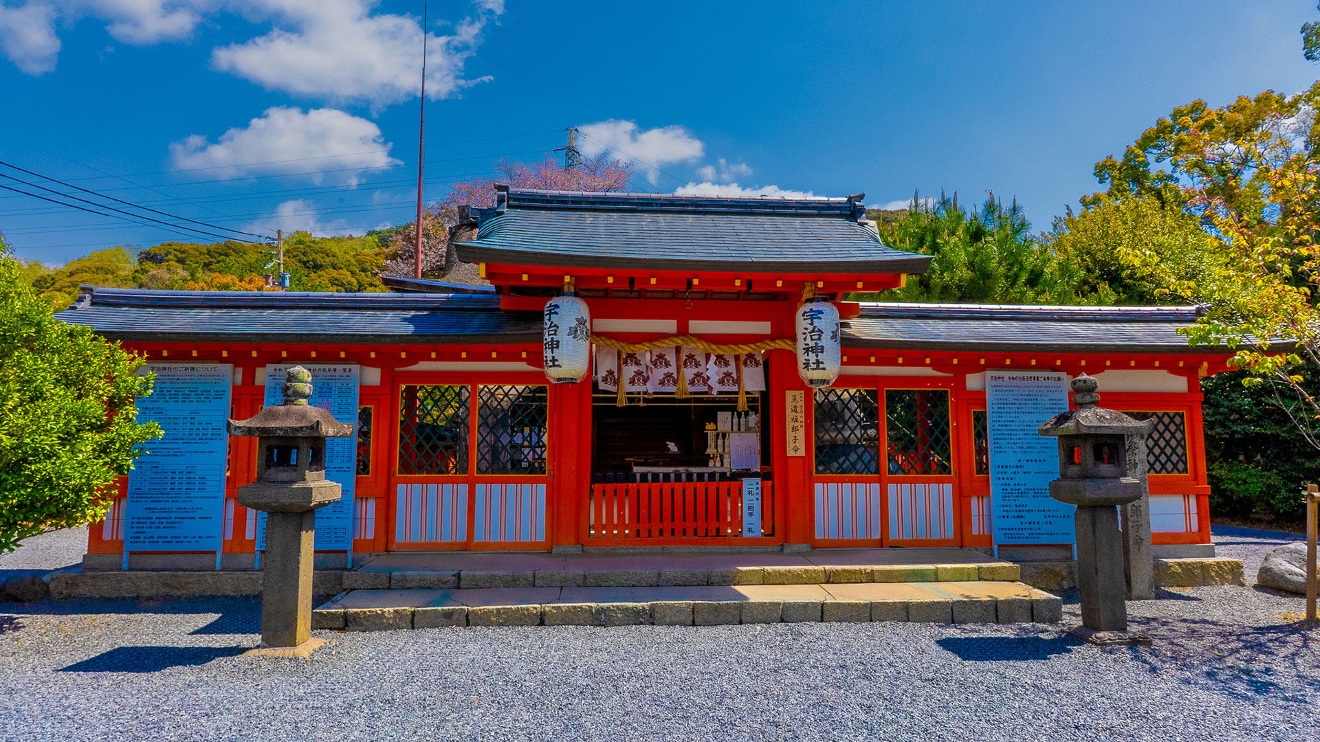 春の宇治上神社2