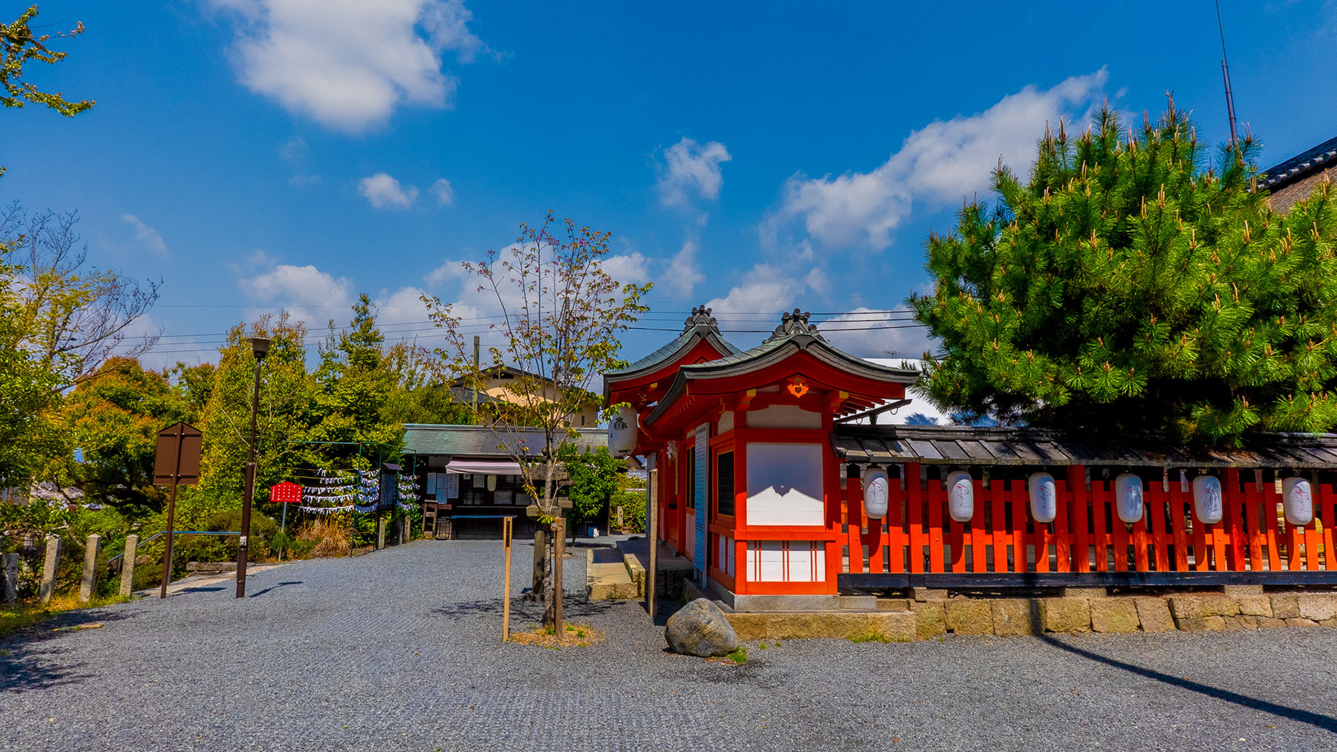 春の宇治上神社4